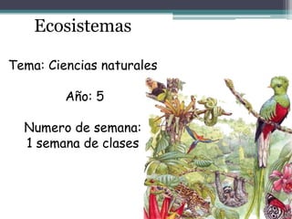Ecosistemas

Tema: Ciencias naturales

         Año: 5

  Numero de semana:
  1 semana de clases
 