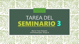 TAREA DEL
SEMINARIO 3
Marta Trejo Delgado
1ºB Fisioterapia, Grupo 8
 