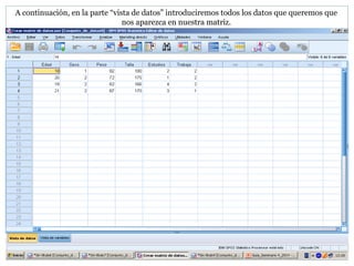 A continuación, en la parte “vista de datos” introduciremos todos los datos que queremos que
nos aparezca en nuestra matriz.
 