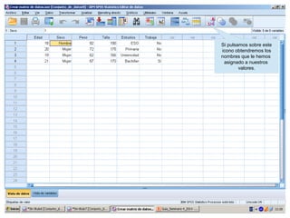 Si pulsamos sobre este
icono obtendremos los
nombres que le hemos
asignado a nuestros
valores.
 
