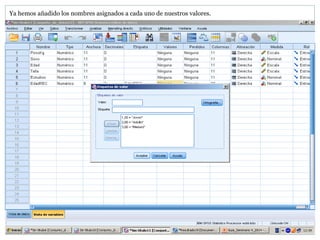 Ya hemos añadido los nombres asignados a cada uno de nuestros valores.
 