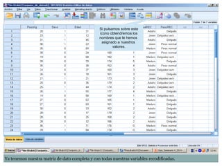 Si pulsamos sobre este
icono obtendremos los
nombres que le hemos
asignado a nuestros
valores.
Ya tenemos nuestra matriz de dato completa y con todas nuestras variables recodificadas.
 