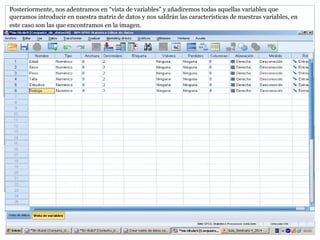 Posteriormente, nos adentramos en “vista de variables” y añadiremos todas aquellas variables que
queramos introducir en nuestra matriz de datos y nos saldrán las características de nuestras variables, en
este caso son las que encontramos en la imagen.
 