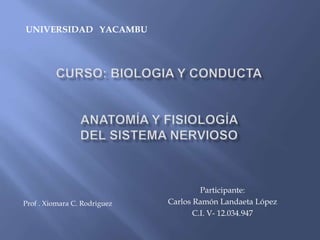 Participante:
Carlos Ramón Landaeta López
C.I. V- 12.034.947
UNIVERSIDAD YACAMBU
Prof . Xiomara C. Rodriguez
 