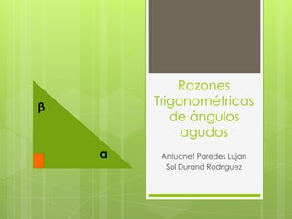 Razones
Trigonométricas
de ángulos
agudos

β

α

Antuanet Paredes Lujan
Sol Durand Rodríguez

 