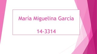 María Miguelina García
14-3314
 