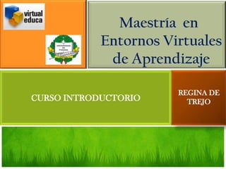 Maestría en
            Entornos Virtuales
             de Aprendizaje

                       REGINA DE
CURSO INTRODUCTORIO      TREJO
 