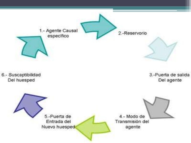 cadena epidemiologica paperas tarea de salud publica cadena epidemiologica paperas tarea de salud publica