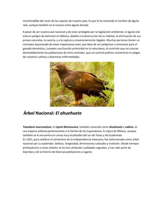 inconfundible del resto de las rapaces de nuestro país, lo que le ha merecido el nombre de águila
real, aunque también se le conoce como águila dorada.

A pesar de ser nuestra ave nacional y de estar protegida por la legislación ambiental, el águila real
está en peligro de extinción en México, debido a la destrucción de su hábitat, la eliminación de sus
presas naturales, la cacería, y a la captura y envenenamiento ilegales. Muchas personas tienen un
concepto equivocado de estas majestuosas aves, que lejos de ser peligrosas o amenazas para el
ganado doméstico, cumplen una función primordial en la naturaleza, al controlar que no crezcan
desmedidamente las poblaciones de otros animales, que sin control podrían convertirse en plagas
de nuestros cultivos y diseminar enfermedades.




Árbol Nacional: El ahuehuete

Taxodium mucronatum, el ciprés Moctezuma, también conocido como ahuehuete o sabino, es
una especie arbórea perteneciente a la familia de las Cupresáceas. Es típica de México, aunque
también se le encuentra en zonas muy localizadas del sur de Texas y de Guatemala.
En 1921, para celebrar el centenario de la independencia mexicana, fue seleccionado como árbol
nacional por su esplendor, belleza, longevidad, dimensiones colosales y tradición. Desde tiempos
prehispánicos a estos árboles se les han atribuido cualidades sagradas, y han sido parte de
leyendas y de la historia de diversas poblaciones y lugares
 