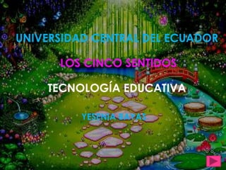 UNIVERSIDAD CENTRAL DEL ECUADOR

      LOS CINCO SENTIDOS

    TECNOLOGÍA EDUCATIVA

          YESENIA BAYAS
 