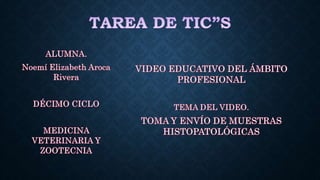 TAREA DE TIC"S