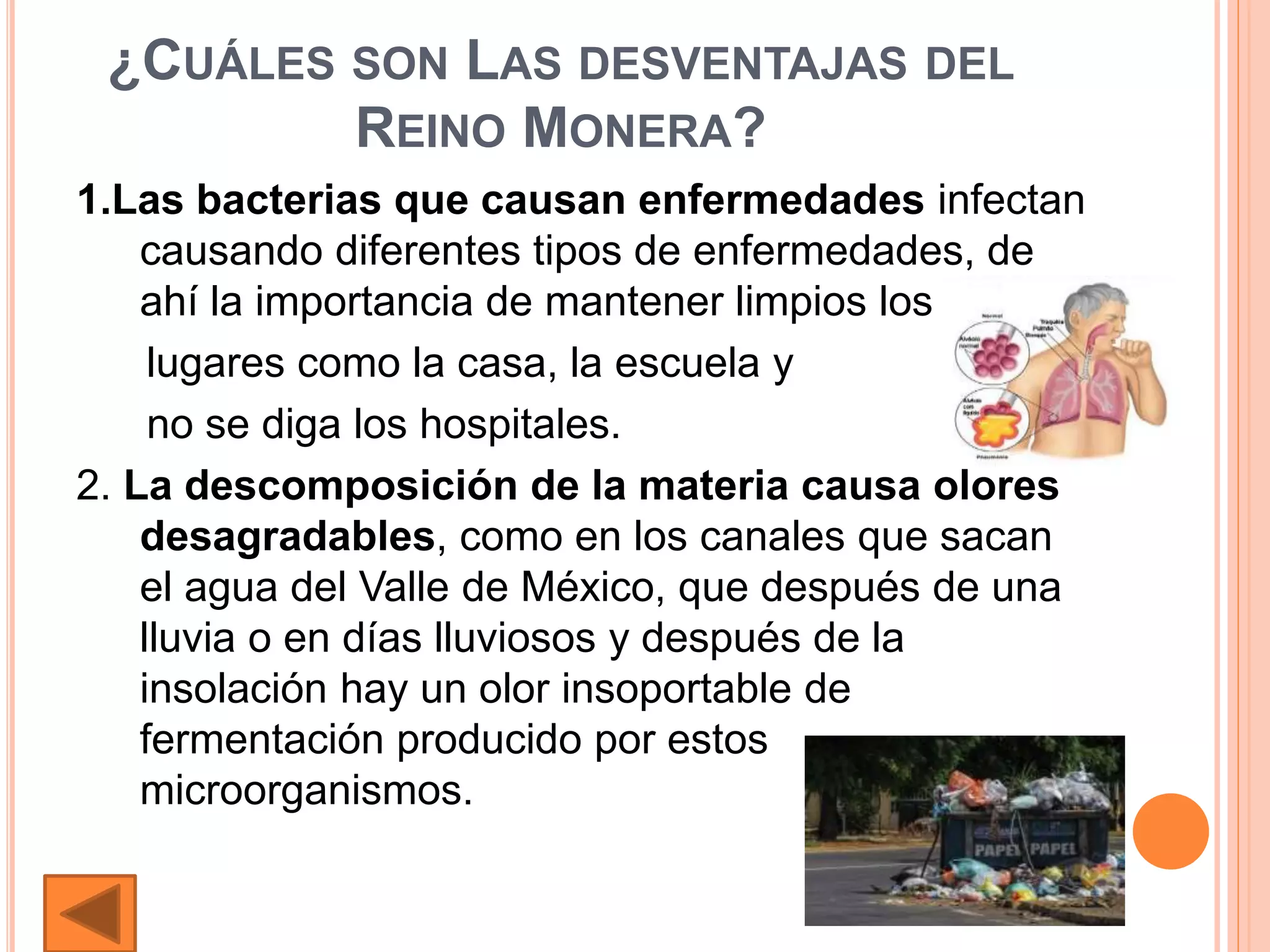 Tarea diapos1reino monera | PPTX