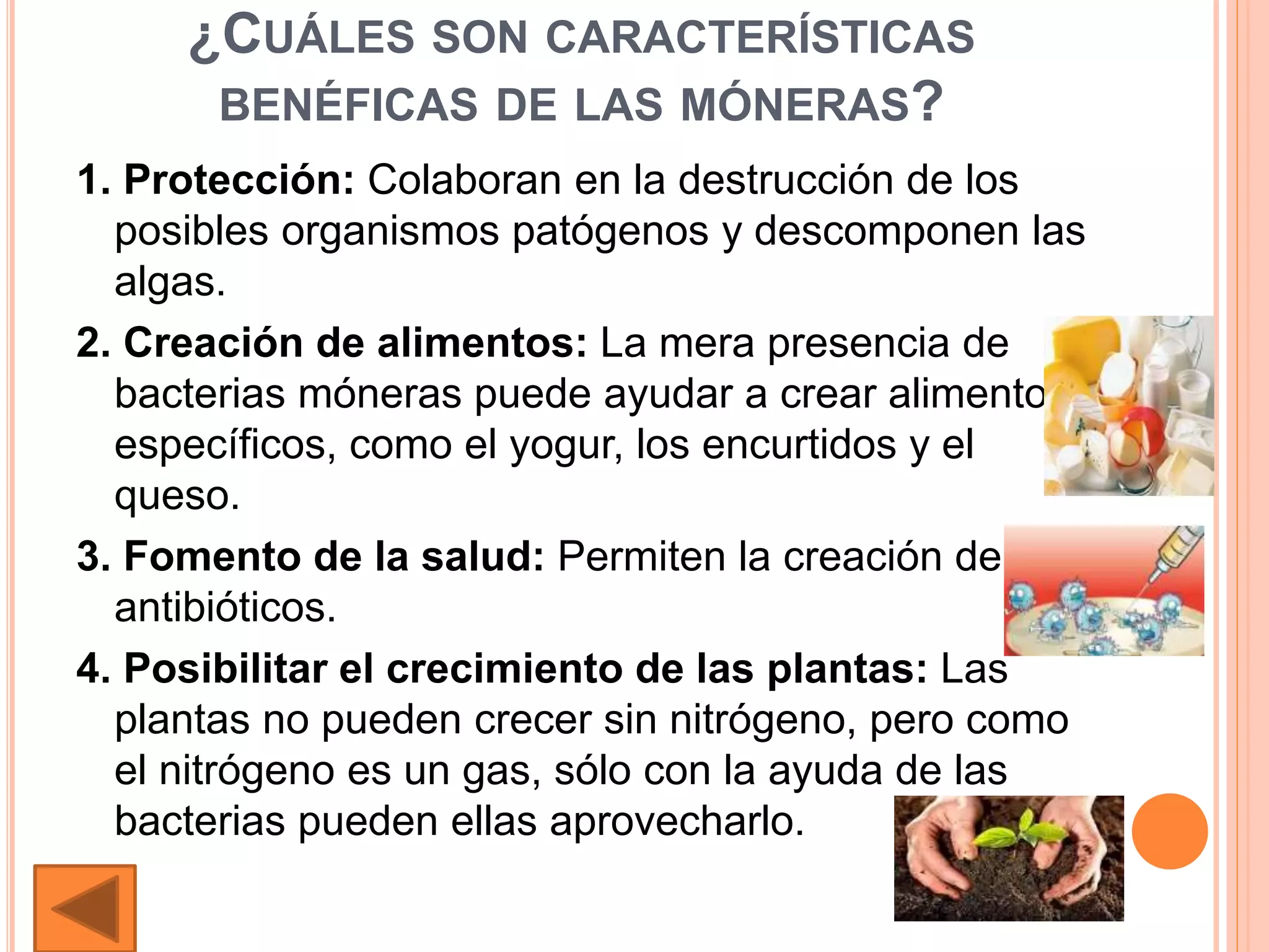 Tarea diapos1reino monera | PPTX