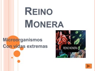 REINO
MONERA
Microorganismos
Con vidas extremas
 