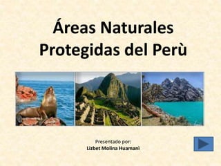Áreas Naturales
Protegidas del Perù
Presentado por:
Lizbet Molina Huamanì
 