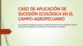 CASO DE APLICACIÓN DE
SUCESIÓN ECOLÓGICA EN EL
CAMPO AGROPECUARIO
Las sucesiones ecológicas juegan un papel fundamental en una variedad de campos,
incluyendo el agropecuario, la industria, la construcción y la energía.
 