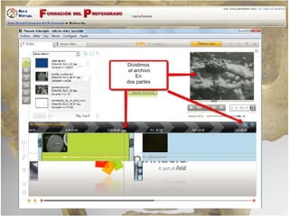Tarea Edicion Video Homo Sapiens