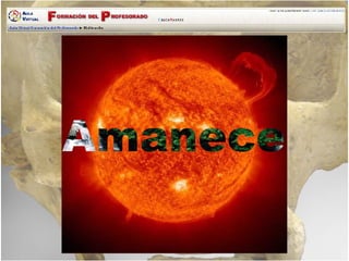 Tarea Edicion Video Homo Sapiens