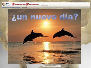 Tarea Edicion Video Homo Sapiens