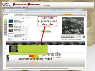 Tarea Edicion Video Homo Sapiens