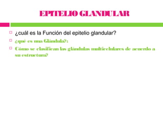 EPITELIO GLANDULAR

   ¿cuál es la Función del epitelio glandular?
   ¿qué es una Glándula?:
   Cómo se clasifican las glándulas multicelulares de acuerdo a
    su estructura?
 