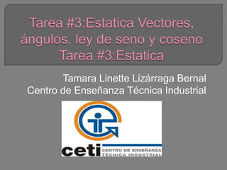 Tamara Linette Lizárraga Bernal
Centro de Enseñanza Técnica Industrial
 