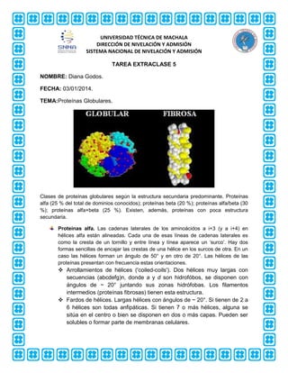 UNIVERSIDAD TÉCNICA DE MACHALA
DIRECCIÓN DE NIVELACIÓN Y ADMISIÓN
SISTEMA NACIONAL DE NIVELACIÓN Y ADMISIÓN
TAREA EXTRACLASE 5
NOMBRE: Diana Godos.
FECHA: 03/01/2014.
TEMA:Proteínas Globulares.

Clases de proteínas globulares según la estructura secundaria predominante. Proteínas
alfa (25 % del total de dominios conocidos); proteínas beta (20 %); proteínas alfa/beta (30
%); proteínas alfa+beta (25 %). Existen, además, proteínas con poca estructura
secundaria.
Proteínas alfa. Las cadenas laterales de los aminoácidos a i+3 (y a i+4) en
hélices alfa están alineadas. Cada una de esas líneas de cadenas laterales es
como la cresta de un tornillo y entre línea y línea aparece un ‘surco’. Hay dos
formas sencillas de encajar las crestas de una hélice en los surcos de otra. En un
caso las hélices forman un ángulo de 50° y en otro de 20°. Las hélices de las
proteínas presentan con frecuencia estas orientaciones.

 Arrollamientos de hélices ('coiled-coils'). Dos hélices muy largas con
secuencias (abcdefg)n, donde a y d son hidrofóbos, se disponen con
ángulos de ~ 20° juntando sus zonas hidrófobas. Los filamentos
intermedios (proteínas fibrosas) tienen esta estructura.
 Fardos de hélices. Largas hélices con ángulos de ~ 20°. Si tienen de 2 a
6 hélices son todas anfipáticas. Si tienen 7 o más hélices, alguna se
sitúa en el centro o bien se disponen en dos o más capas. Pueden ser
solubles o formar parte de membranas celulares.

 