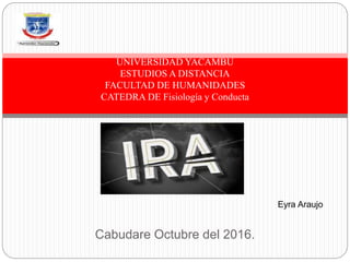 Cabudare Octubre del 2016.
UNIVERSIDAD YACAMBU
ESTUDIOS A DISTANCIA
FACULTAD DE HUMANIDADES
CATEDRA DE Fisiología y Conducta
Eyra Araujo
 