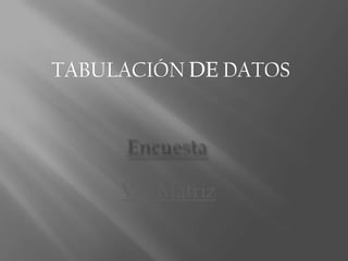 TABULACIÓN DE DATOSEncuestaVer Matriz
