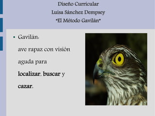 Diseño Curricular
Luisa Sánchez Dempsey
“El Método Gavilán”
● Gavilán:
ave rapaz con visión
aguda para
localizar, buscar y
cazar.
 