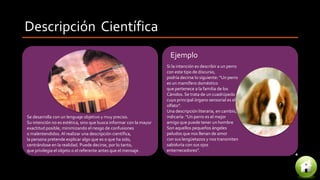 Descripción Científica
Se desarrolla con un lenguaje objetivo y muy preciso.
Su intención no es estética, sino que busca informar con la mayor
exactitud posible, minimizando el riesgo de confusiones
o malentendidos.Al realizar una descripción científica,
la persona pretende explicar algo que es o que ha sido,
centrándose en la realidad. Puede decirse, por lo tanto,
que privilegia el objeto o el referente antes que el mensaje.
Si la intención es describir a un perro
con este tipo de discurso,
podría decirse lo siguiente: “Un perro
es un mamífero doméstico
que pertenece a la familia de los
Cánidos. Se trata de un cuadrúpedo
cuyo principal órgano sensorial es el
olfato”.
Una descripción literaria, en cambio,
indicaría: “Un perro es el mejor
amigo que puede tener un hombre
Son aquellos pequeños ángeles
peludos que nos llenan de amor
con sus lengüetazos y nos transmiten
sabiduría con sus ojos
enternecedores”.
Ejemplo
 