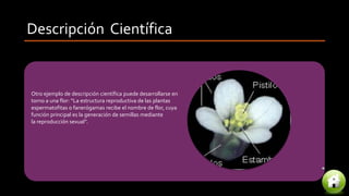 Otro ejemplo de descripción científica puede desarrollarse en
torno a una flor: “La estructura reproductiva de las plantas
espermatofitas o fanerógamas recibe el nombre de flor, cuya
función principal es la generación de semillas mediante
la reproducción sexual”.
Descripción Científica
 