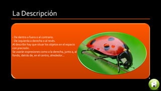La Descripción
- De dentro a fuera o al contrario.
- De izquierda a derecha o al revés.
Al describir hay que situar los objetos en el espacio
con precisión.
Se usarán expresiones como a la derecha, junto a, al
fondo, detrás de, en el centro, alrededor...
 