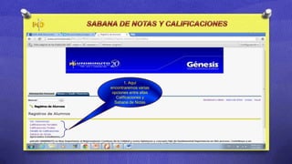 1. Aquí
encontraremos varias
 opciones entre ellas
   Calificaciones y
  Sabana de Notas
 