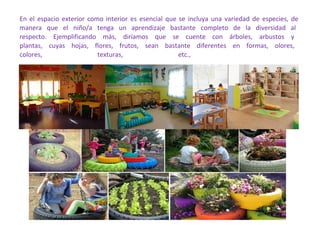 En el espacio exterior como interior es esencial que se incluya una variedad de especies, de
manera que el niño/a tenga un aprendizaje bastante completo de la diversidad al
respecto. Ejemplificando más, diríamos que se cuente con árboles, arbustos y
plantas, cuyas hojas, flores, frutos, sean bastante diferentes en formas, olores,
colores,
texturas,
etc.,

 