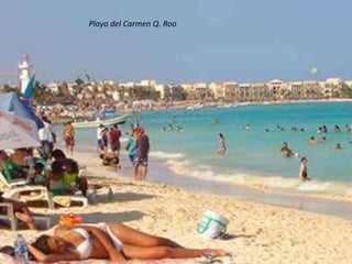 Playa del Carmen Q. Roo 