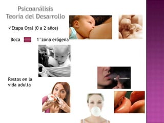 Etapa Oral (0 a 2 años)
Boca

Restos en la
vida adulta

1°zona erógena

 