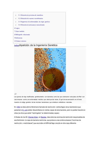 o 5.1 Obtención de proteínas de mamíferos
o 5.2 Obtención de vacunas recombinantes
o 5.3 Diagnóstico de enfermedades de origen genético
o 5.4 Obtención de anticuerpos monoclonales
 6 Logros
 7 Véase también
 8 Bibliografía relacionada
 9 Referencias
 10 Enlaces externos
[editar]Aparición de la Ingeniería Genética
Los granos de trigo modificados genéticamente con bacterias como las que colonizaron esta placa de Petri son
casi inmunes contra una enfermedad micótica que destruye las raíces. El gel de secuenciación en el fondo
muestra el código genético de las enzimas bacterianas que sintetizan antibióticos naturales.
En 1953 se descubrió el fenómeno llamado de restricción: ciertos fagos (virus bacteriano) que
parasitan a E. coli podían desarrollarse en ciertas cepas de esta bacteria, pero no podían hacerlo en
otras (se dice que están "restringidos" en determinadas cepas).
A finales de los 60, Werner Arber, en Basilea, descubre las enzimas de restricción responsables de
ese fenómeno: la cepa de bacteria restrictiva, que produce unas endonucleasas ("enzimas de
restricción, o restrictasas") que escinden el ADN del fago crecido en otra cepa diferente.
 
