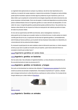 La ingeniería tiene aplicaciones en campos muy diversos; dos de los más importantes son la
medicina y la creación de nuevas especies o mejora de las existentes. El progreso en estos ámbitos
puede aportar resultados capaces de aliviar algunos problemas de gran importancia, pero no se
debe olvidar que la explotación comercial de las tecnologías requeridas sólo está al alcance de unas
pocas empresas multinacionales. Como era de esperar, la tradicional dependencia económica de los
países subdesarrollados tiene en la ingeniería genética un nuevo elemento de desequilibrio. En otro
orden de cosas, la ingeniería genética puede plantear graves problemas éticos. Hay opiniones muy
diversas sobre dónde han de situarse los límites de manipulación del material que está en la base
de todos los procesos vitales.
Al inicio de los experimentos del ADN recombinante, varios investigadores mostraron su
preocupación por los riesgo que se pueden realizar con dichas técnicas, en varios países se crearon
comités para discutir el uso y la aplicación de técnicas de ingeniería genética. Lamentablemente
está limitada por fuerzas políticas y por la presión de las empresas involucradas en el desarrollo y la
comercialización de los productos biotecnologías.1
Es necesario la participación de cada ciudadano sobre la información para tener un criterio respecto
al tema ya que esto no puede ser resuelto solo por expertos, quien tiene la decisión final es la
sociedad en decidir qué se debe hacer.2
[editar]Ingeniería genética en seres vivos
[editar]Ingeniería genética en bacterias
Son los seres vivos más utilizados en Ingeniería Genética. La más utilizada es la Escherichia coli.
Se usa prácticamente en todos los procesos de I.G.
[editar]Ingeniería genética en levaduras y hongos
Son junto con las bacterias los sistemas más utilizados. El Saccharomyces cerevisiae fue el primer
sistema eucariota secuenciado completamente. Otra levadura importante es P. pastoris, utilizada
para conseguir proinsulina en cultivo discontinuo y quitinasa en cultivo continuo. En el campo de los
hongos destaca por su labor médica el Penicillium.
Ratones knockout.
[editar]Ingeniería Genética en animales
 