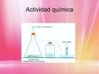 Actividad química
 