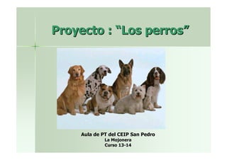 Proyecto : “Los perros”

Aula de PT del CEIP San Pedro
La Mojonera
Curso 13-14

 