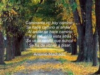 Caminante no hay camino,
Se hace camino al andar...
 Al andar se hace camino
 Y al volver la vista atrás
Se ve la senda que nunca
 Se ha de volver a pisar.

    Antonio Machado.
 