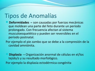 Tipos de Anomalías
Deformidades → son causadas por fuerzas mecánicas
que moldean una parte del feto durante un período
pr...