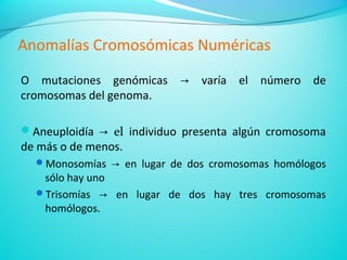 Alteraciones en el número de copias de cromosomas no sexuales.
No todas son viables (alteraciones en el fenotipo).
Anoma...