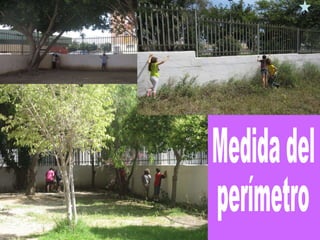 Medida del perímetro 