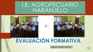 I.E. AGROPECUARIO
NARANJILLO
FREDDY FLORES MOLINA
 