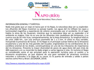 Turismo de Naturaleza / flora y fauna
INFORMACIÓN GENERAL Y TURÍSTICA:
Nada más grato que un viaje en barco por el río Napo, la naturaleza deja ver su esplendor.
Los afluentes del Napo muestran su paisaje tupido. Las aguas del río reflejan los rayos y
luminosidad magnifica y espectáculo de colores anaranjados por el occidente. En el lugar
habita la etnia de los Huaorani, mientras que la naturaleza deja ver su esplendor y el
ambiente es mágico. Este río es uno de los afluentes más caudalosos del Amazonas, y su
cuenca una de las más ricas; comparativamente, de la Hoya Amazónica. Su longitud total es
de unos 1400 km., con una anchura promedio de 1 a 3 km, el clima es muy variable,
incluyendo la presencia de lluvias. El río Napo es el principal cuerpo hídrico de la Amazonia
ecuatoriana y uno de los más grandes del Ecuador, originándose en las estribaciones de la
cordillera oriental de los Andes, constituyéndose en uno de los tributarios de importancia
del rio Amazonas. Presenta la mayor diversidad de peces de agua dulce del país (más de
400 especies) y en su recorrido ha dado origen a varias lagunas e islas. En turismo el Napo
es considerado como el eje principal para la operación turística para el cantón y la
Amazonia ecuatoriana, ya que dispone de una gran variedad de atractivos turísticos
naturales y culturales a lo largo de su cauce. Es la puerta de entrada y salida a países
vecinos como Perú y Brasil. (ECUADOR, 2014)
http://www.ec.viajandox.com/orellana/rio-napo-A1209
NAPO (RÍO)
 