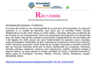 Turismo naturaleza / flora y fauna / gastronómico
INFORMACIÓN GENERAL Y TURÍSTICA:
El Cantón Rio Verde es una municipalidad de la provincia de Esmeraldas. Su cabecera
cantonal es la ciudad de Rioverde, que fuera por el científico Pedro Vicente
Maldonado en el año 1743. Posee un clima cálido – húmedo, ideal para el disfrute de
los turistas en sus inmediaciones. Tiene una importante participación en la historia del
país, por haber sido donde se gestó el movimiento Independentista de Esmeraldas del
5 de Agosto de 1820, posee una gran biodiversidad de especies como orquídea,
especias forestales maderables de gran importancia económica como la teca amarilla,
cedro, dormilón, guayacán, moral, especies de mangle. Rioverde es también conocida
por sus recursos naturales como por su fauna, destacando así crustáceos, moluscos,
conchas, almejas, mejillones, ostiones, aves majestuosas, reptiles, roedores salvajes y
algunos felinos. La pesca genera la mayor actividad tur´sitica y sobretod económica,
peces como la Pinchagua, Corvinas, Róbalo, Chernas, Meros, Pámpanos, Pargos.
(ECUADOR, 2014)
http://turismozonanortejssa.blogspot.com/2014_09_01_archive.html
RÍO VERDE
 