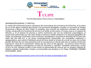 Turismo Naturaleza / flora y fauna / arqueológico
INFORMACIÓN GENERAL Y TURÍSTICA:
En medio del exuberante bosque subtropical del noroccidente de la Provincia de Pichincha, en la ribera
de un río de aguas cristalinas que separa a las parroquias Nanegalito y Gualea, se encuentra el Templo
Ceremonial y Museo de Sitio Tulipe, el complejo, que muestra las evidencias culturales del pueblo
Yumbo, comprende tres hectáreas de terreno y se divide en dos partes: el museo, que es un espacio de
difusión; y, en el exterior las piscinas o centro ceremonial, que son las evidencias arqueológicas, el
museo está conformado por tres salas donde se aprecia el medio ambiente y la ubicación geográfica de
Tulipe, las evidencias ancestrales como cerámicas, estratigrafía y arquitectura piramidal de las tolas que
datan del año 600 d.C; y, las tareas contemporáneas relacionadas con actividades madereras y
agroganaderas, que realiza el habitante actual del área, desde la terraza de una de las salas, los turistas
pueden disfrutar de una vista panorámica de las seis piscinas en donde cada año se celebra la fiesta del
Equinoccio, ritual de la cosmovisión andina que da inicio al año agrícola, las piscinas tienen formas
redondas, cuadradas y rectangulares, en ellas los chamanes o “yachaks” realizaban ceremonias y cultos
al Sol y la Luna. Quienes acudan al sitio tienen la oportunidad de caminar por un sendero rodeado de
árboles y plantas medicinales, rituales y ornamentales que bordean el río Tulipe. (TURISMO, TURISMO
EN ECUADOR , 2015)
http://ecuadorperuluxurytravel.com/a-visit-to-the-el-tulipe-archaeological-site/
TULIPE
 