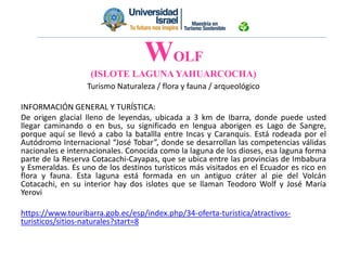 Turismo Naturaleza / flora y fauna / arqueológico
INFORMACIÓN GENERAL Y TURÍSTICA:
De origen glacial lleno de leyendas, ubicada a 3 km de Ibarra, donde puede usted
llegar caminando o en bus, su significado en lengua aborigen es Lago de Sangre,
porque aquí se llevó a cabo la batallla entre Incas y Caranquis. Está rodeada por el
Autódromo Internacional “José Tobar”, donde se desarrollan las competencias válidas
nacionales e internacionales. Conocida como la laguna de los dioses, esa laguna forma
parte de la Reserva Cotacachi-Cayapas, que se ubica entre las provincias de Imbabura
y Esmeraldas. Es uno de los destinos turísticos más visitados en el Ecuador es rico en
flora y fauna. Esta laguna está formada en un antiguo cráter al pie del Volcán
Cotacachi, en su interior hay dos islotes que se llaman Teodoro Wolf y José María
Yerovi
https://www.touribarra.gob.ec/esp/index.php/34-oferta-turistica/atractivos-
turisticos/sitios-naturales?start=8
WOLF
(ISLOTE LAGUNA YAHUARCOCHA)
 
